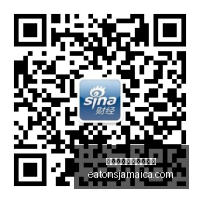 跑步鞋品牌,电竞赞助,战队实力全,熊猫体育,熊猫体育数据,分析模型