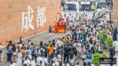 电竞战队新阵容集结，春季赛争冠在望